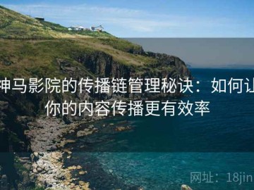 神马影院的传播链管理秘诀：如何让你的内容传播更有效率