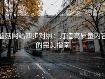 蘑菇网站四步对照：打造高质量内容的完美指南