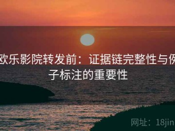 欧乐影院转发前：证据链完整性与例子标注的重要性
