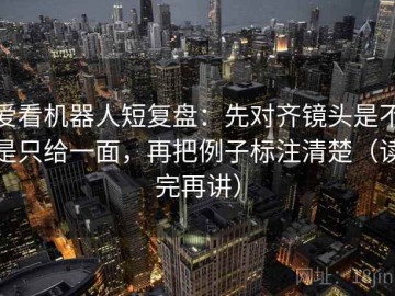 爱看机器人短复盘：先对齐镜头是不是只给一面，再把例子标注清楚（读完再讲）