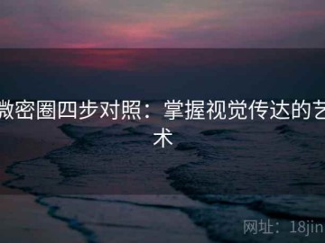 微密圈四步对照：掌握视觉传达的艺术