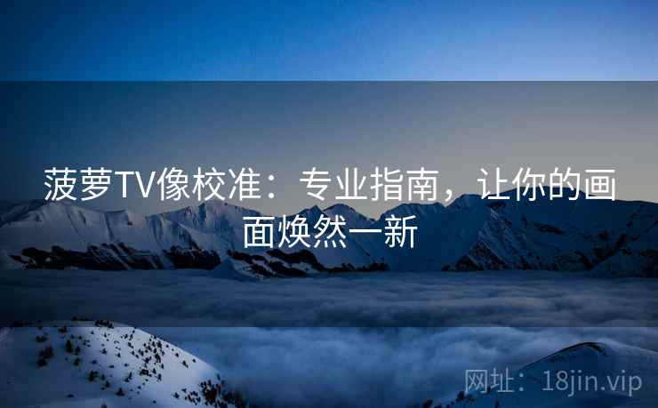 菠萝TV像校准：专业指南，让你的画面焕然一新