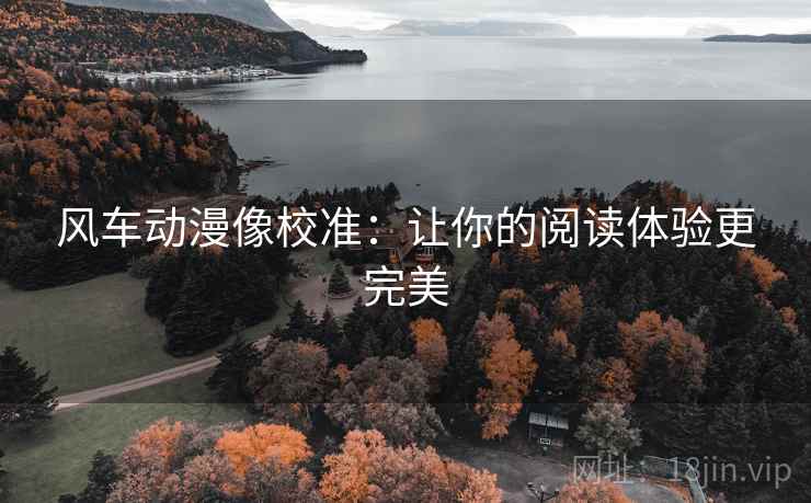 风车动漫像校准：让你的阅读体验更完美