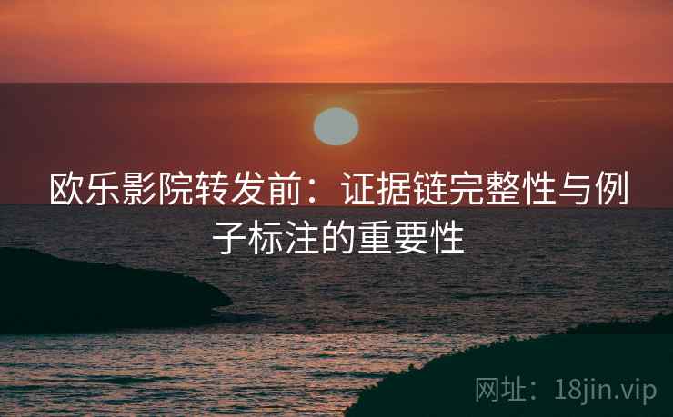 欧乐影院转发前：证据链完整性与例子标注的重要性